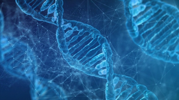 Qu'est-ce que la biologie a étudié?