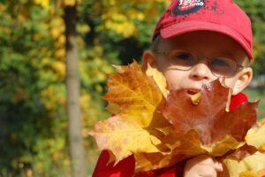 Artisanat pour l'automne: 5 activités à faire avec vos enfants à la maison