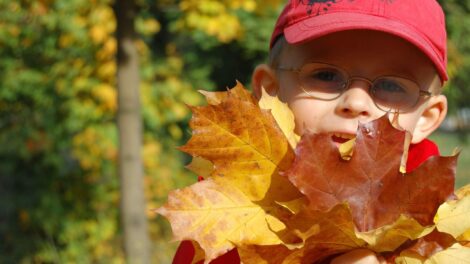 Artisanat pour l'automne: 5 activités à faire avec vos enfants à la maison