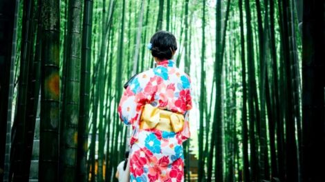 Avantages de l'étude du Japon
