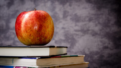 Public ou privé After -school: Quel est le plus adapté à vos enfants?