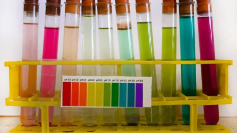 Comment expliquer les deux types de substances pures (élément chimique et composé chimique)?