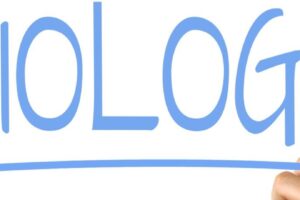 Oméostase: systèmes capables de le maintenir