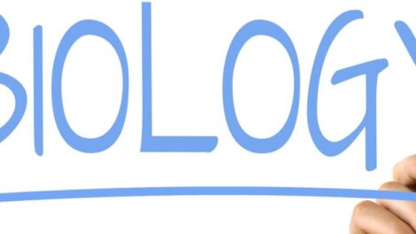 Oméostase: systèmes capables de le maintenir