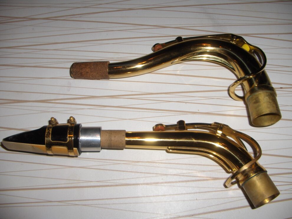 Jouez le saxophone: seul ou avec un professionnel?