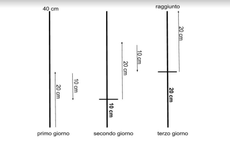 mathématiques