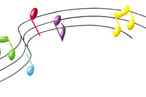 Les exigences à posséder pour entrer dans le véranda