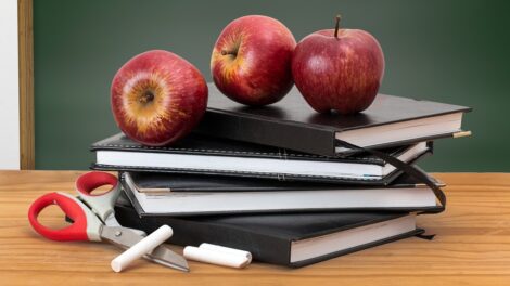 L'étude en ligne est possible: 5 méthodes d'étude alternatives