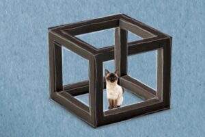 Paradoxes mathématiques: les plus intéressants