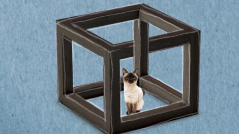 Paradoxes mathématiques: les plus intéressants