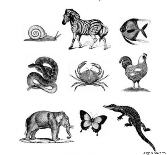 Photos d'exercices pour améliorer la mémoire