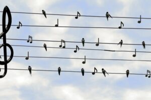 Comment apprendre à jouer des bandes sonores célèbres