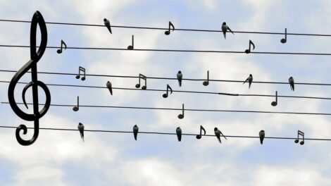 Comment apprendre à jouer des bandes sonores célèbres