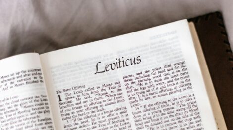 Découvrons les origines et l'histoire du jubilé