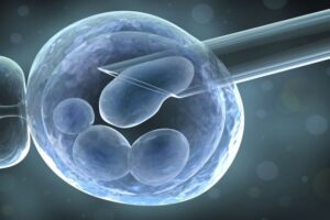 Cellules souches: quels sont-ils?