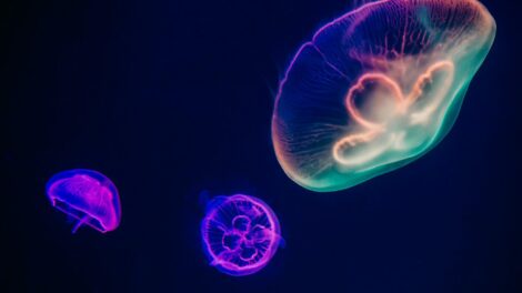 Cours de biologie Florence : un guide pour ceux qui veulent en savoir plus