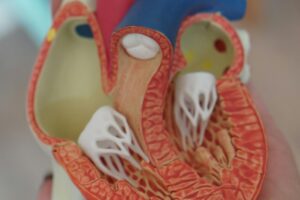 Cours de biologie Naples: en savoir plus