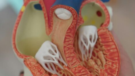 Cours de biologie Naples: en savoir plus