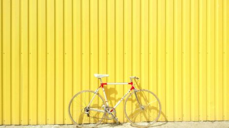 Tour de France 2025 : où regarder en direct et en streaming, également depuis les applications et Eurosport